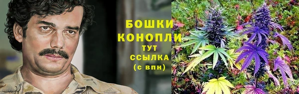 а пвп мука Верея